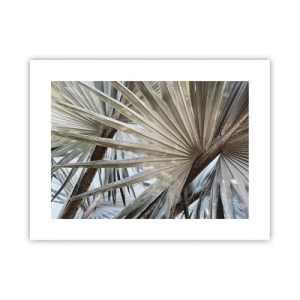 Affiche - Poster - Evantail sous les tropiques - 40x30 cm