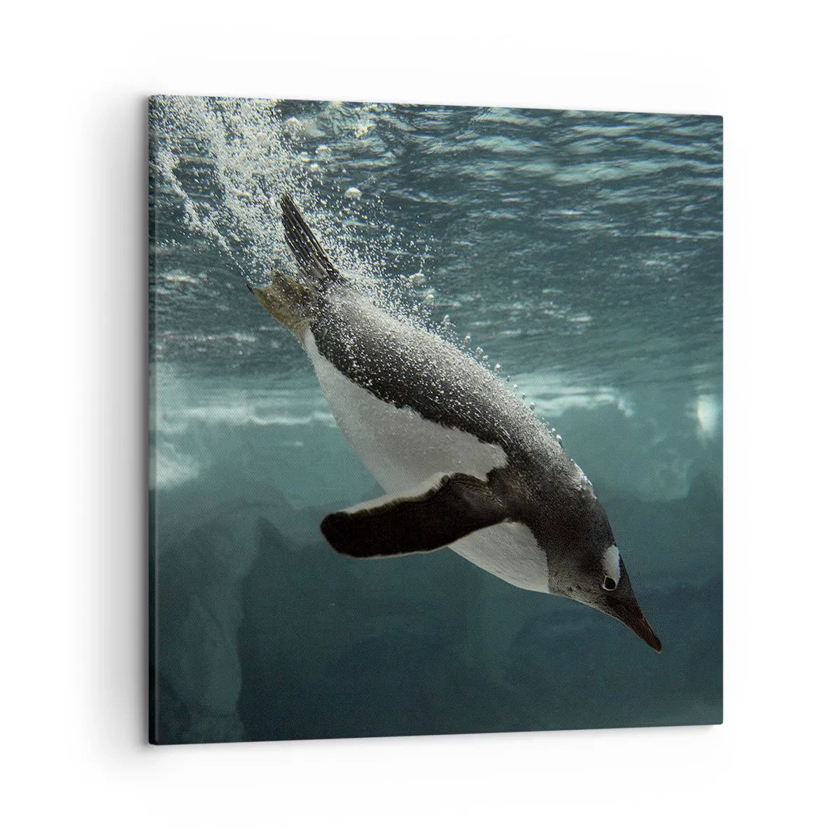 Impression sur toile - Image sur toile - Bienvenue dans mon monde - 50x50 cm