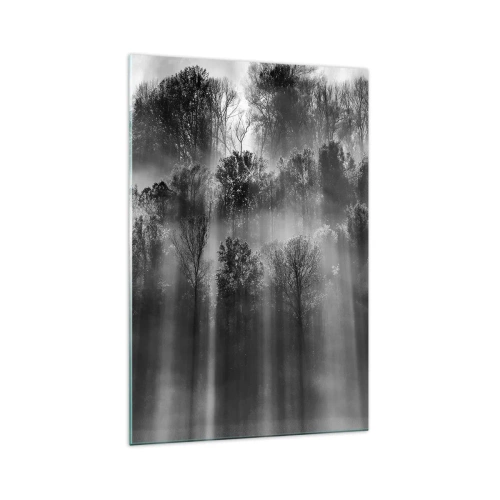 Impression sur verre - Image sur verre - Forêt noire et blanche dans la lumière du matin - 70x100cm - Dans les flots de lumière - Décoration murale moderne pour le salon et la chambre ARTTOR