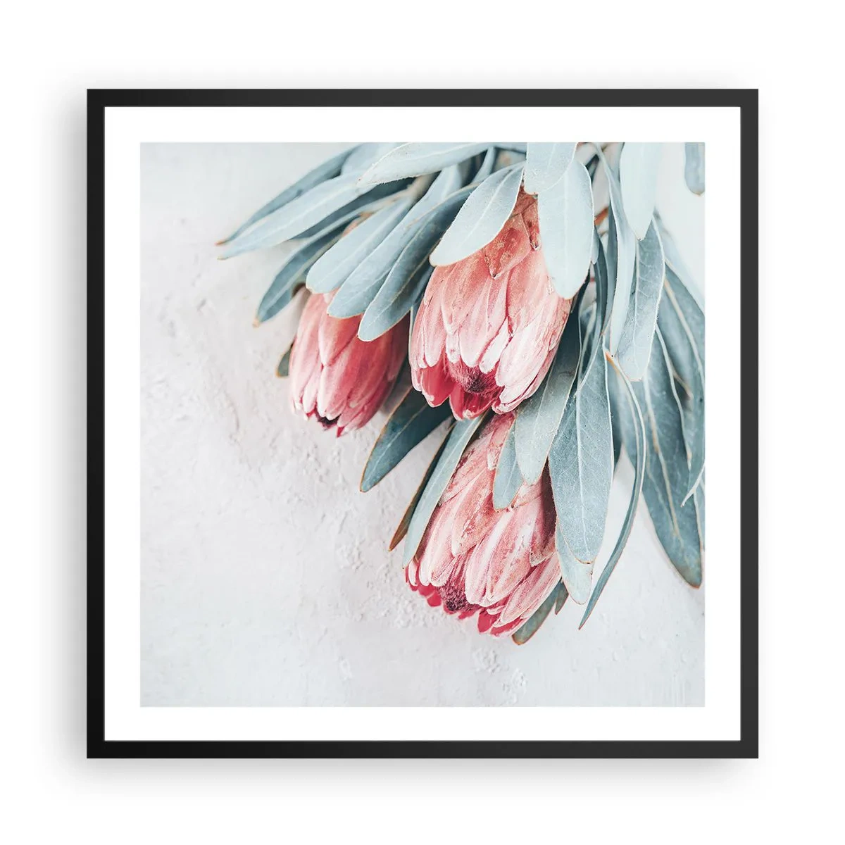 Affiche dans un cadre noir - Poster - Honte de leur propre beauté - 60x60 cm