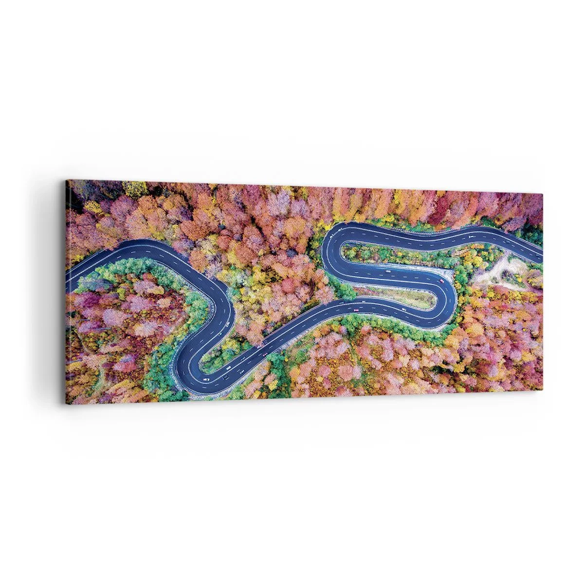 Impression sur toile - Image sur toile - Route sinueuse à travers la forêt - 100x40 cm