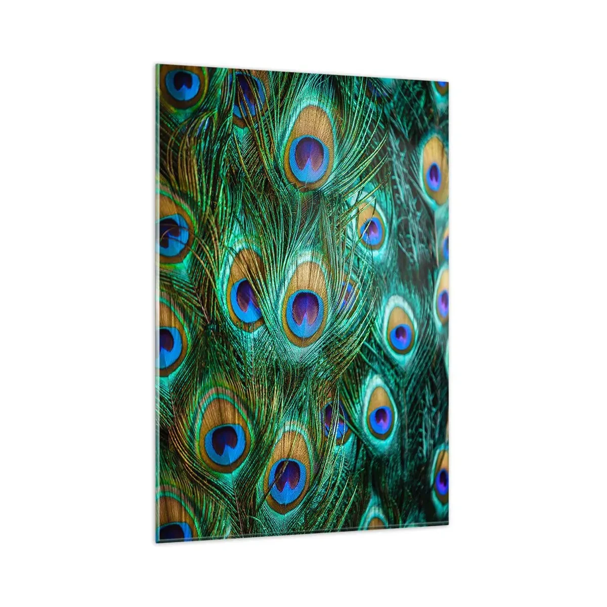 Impression sur verre - Image sur verre - Détails des plumes de paon aux couleurs riches - 80x120cm - Un regard de paon - Décoration murale moderne pour le salon et la chambre ARTTOR