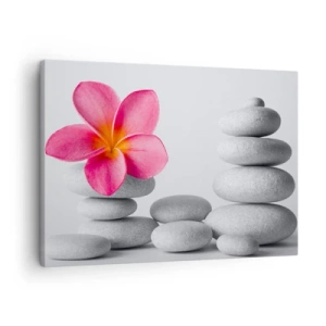 Impression sur toile - Image sur toile - Fleur rose sur pierres de style zen - 70x50cm - Pierre sur pierre, et sur cette pierre... - Décoration murale moderne pour le salon et la chambre ARTTOR