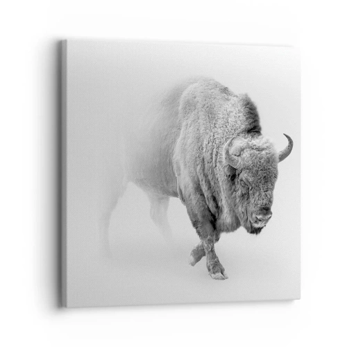 Impression sur toile - Image sur toile - Roi de la prairie - 30x30 cm