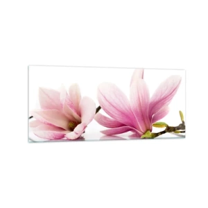 Impression sur verre - Image sur verre - Magnolias roses délicats sur fond blanc - 120x50cm - Délicat comme une brise de printemps - Décoration murale moderne pour le salon et la chambre ARTTOR