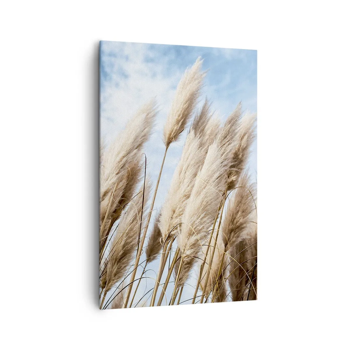 Impression sur toile - Image sur toile - Herbes de pampa délicates contre un ciel bleu avec des nuages légers - 80x120cm - Caresse ensoleillée et venteuse - Décoration murale moderne pour le salon et la chambre ARTTOR