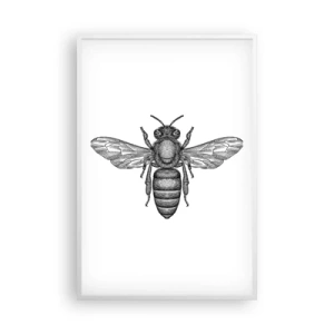 Affiche dans un cadre blanc - Poster - Portrait d'insecte - 61x91 cm