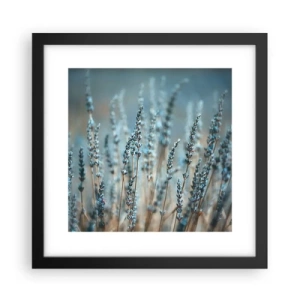 Affiche dans un cadre noir - Poster - Tige odorante - 30x30 cm