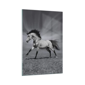 Impression sur verre - Image sur verre - Un cheval noir et blanc dans une pose dynamique dans le désert. - 70x100cm - Né pour séduire - Décoration murale moderne pour le salon et la chambre ARTTOR
