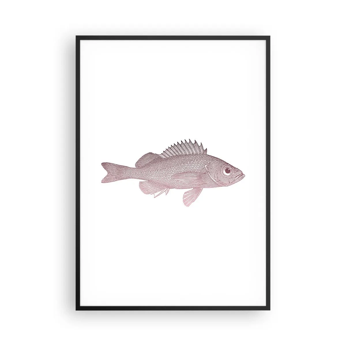 Affiche dans un cadre noir - Poster - Poisson aux grands yeux - 70x100 cm
