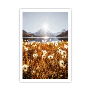 Affiche - Poster - Dureté de la roche, douceur de l'herbe - 70x100 cm