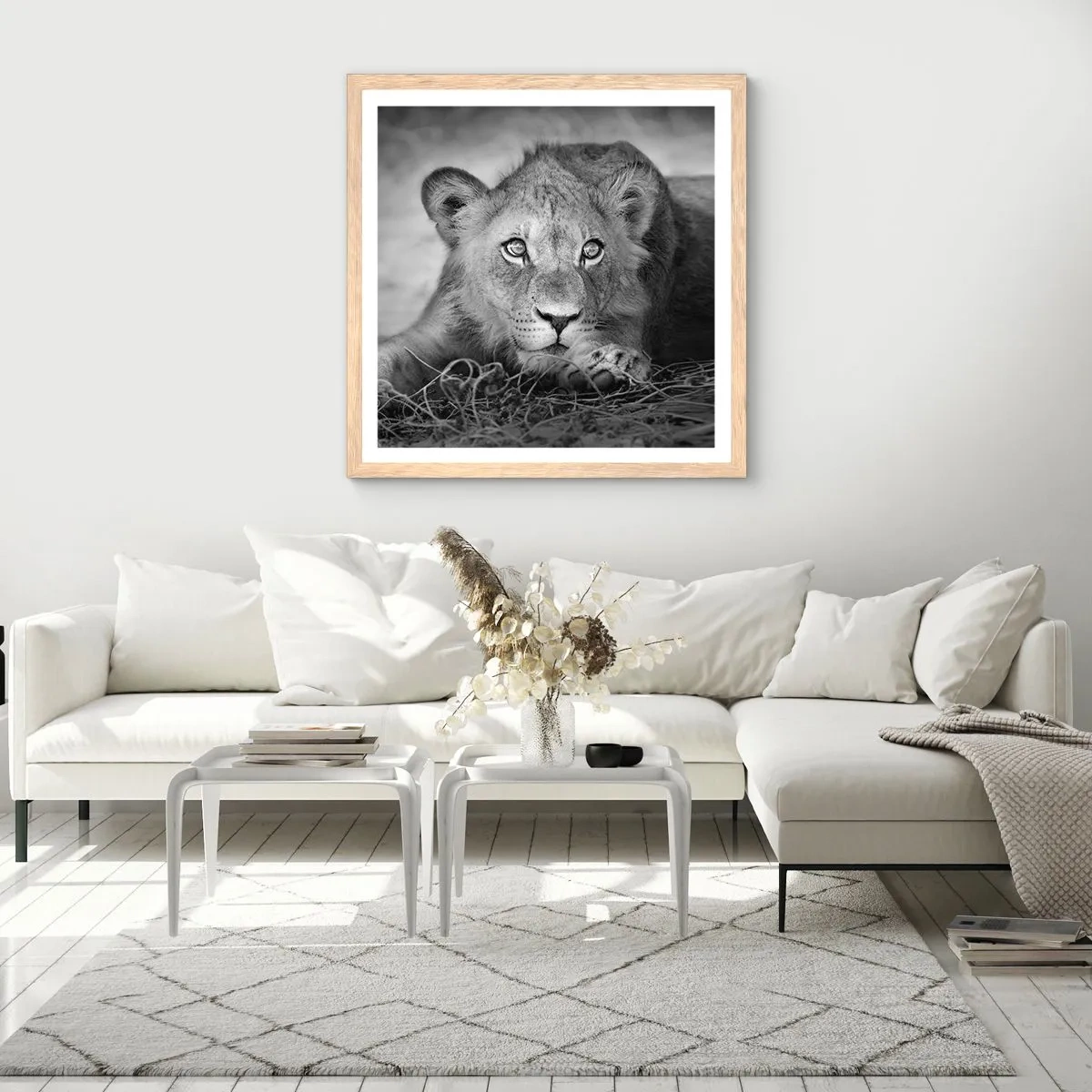 Affiche dans un chêne clair - Poster - Chiot royal - 40x40 cm