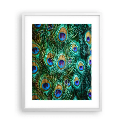 Affiche dans un cadre blanc - Poster - Un regard de paon - 40x50 cm