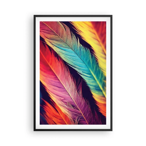 Affiche dans un cadre noir - Poster - Arc-en-ciel de plumes - 61x91 cm