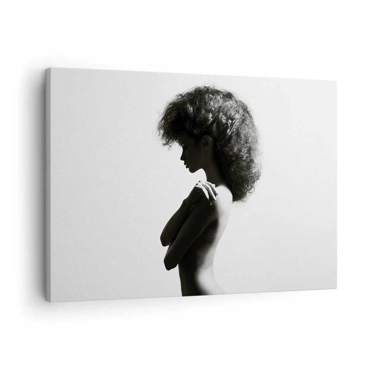 Impression sur toile - Image sur toile - Une silhouette subtile d'une femme dans des tons noirs et blancs sur un fond clair - 70x50cm - Comme une fleur au bout d'une fine tige - Décoration murale moderne pour le salon et la chambre ARTTOR