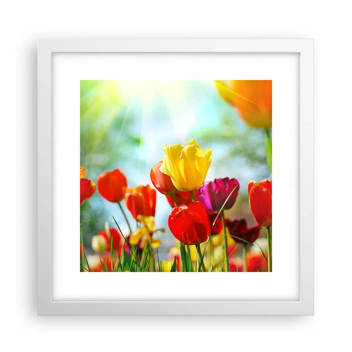 Affiche dans un cadre blanc - Poster - Toutes les couleurs du soleil - 30x30 cm