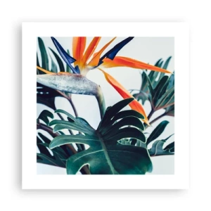 Affiche - Poster - Le buisson oiseaux - 40x40 cm