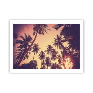 Affiche - Poster - Variation tropicale - 70x50 cm