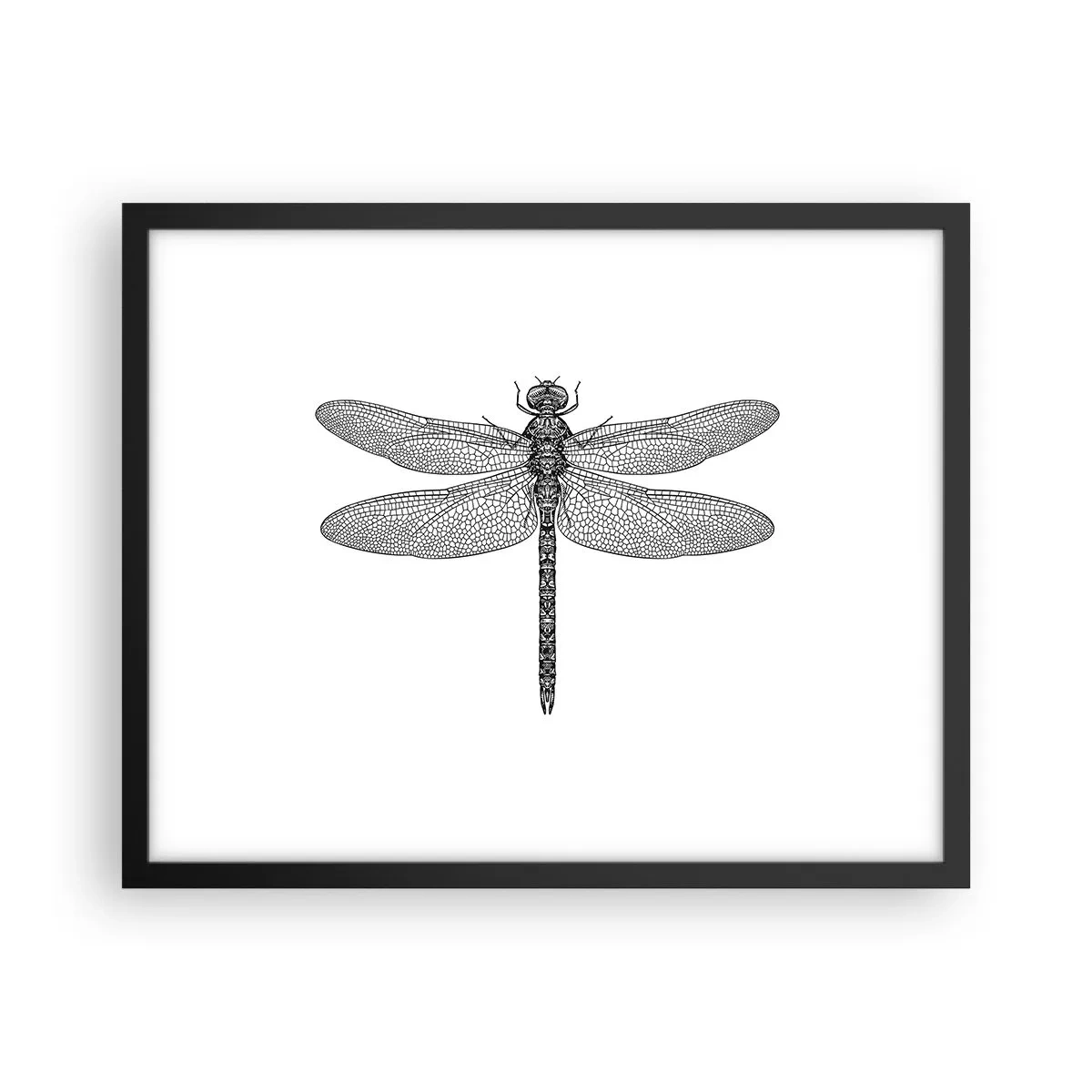 Affiche dans un cadre noir - Poster - Précision de la nature - 50x40 cm