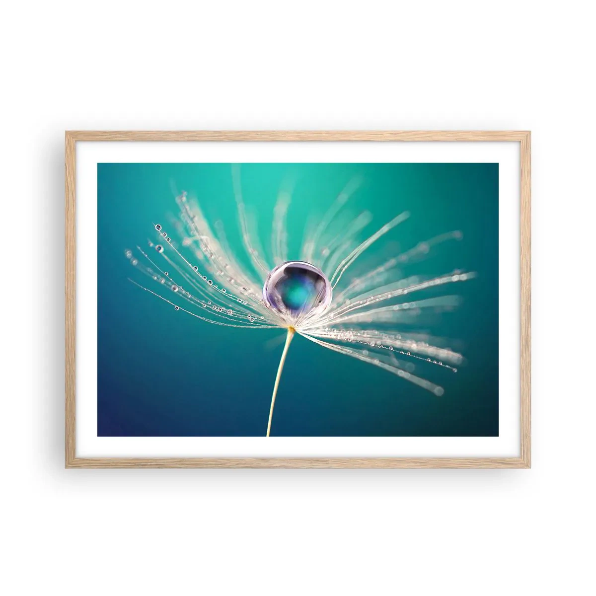 Affiche dans un chêne clair - Poster - Moment mystique - 70x50 cm