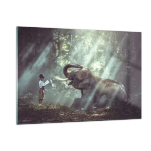 Impression sur verre - Image sur verre - Un garçon avec un livre et un éléphant dans un décor forestier - 120x80cm - Et écoute ça… - Décoration murale moderne pour le salon et la chambre ARTTOR