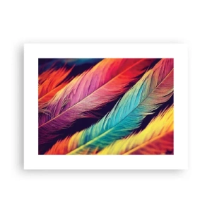 Affiche - Poster - Arc-en-ciel de plumes - 40x30 cm