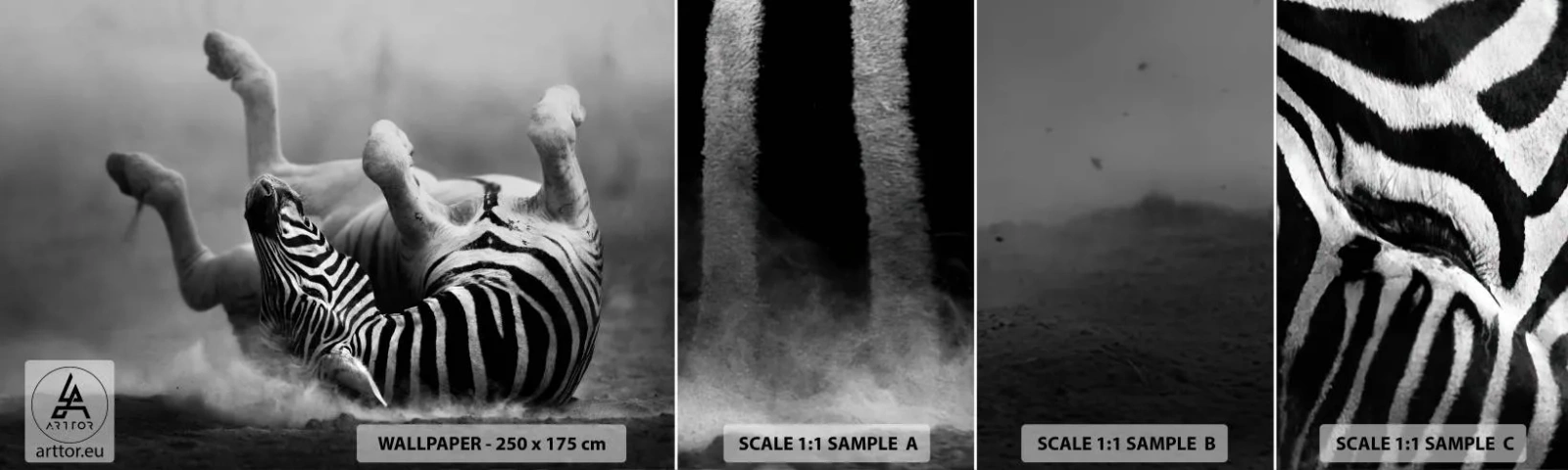 Échantillon De Papier Peint Standard Eco - Pas uniquement le cheval en rirait - Animaux, Côtes, Nature - 100x30 cm