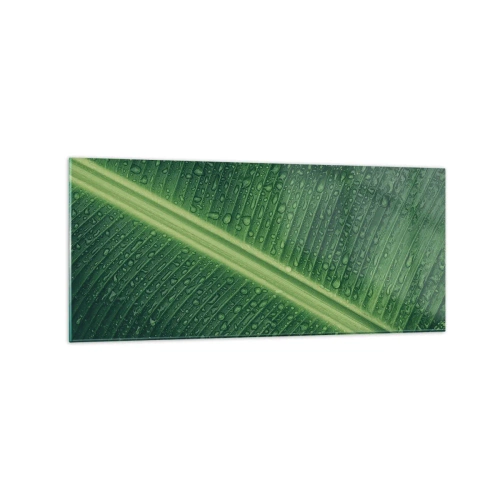 Impression sur verre - Image sur verre - Une feuille verte avec des gouttes d'eau à sa surface - 120x50cm - Structure de vert - Décoration murale moderne pour le salon et la chambre ARTTOR