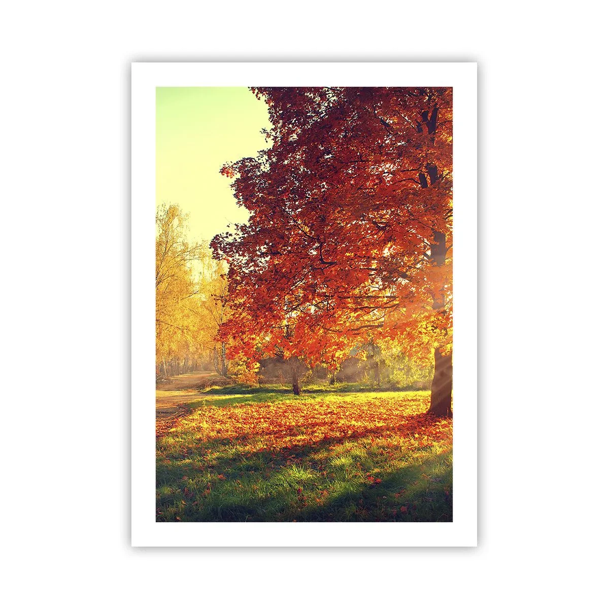 Affiche - Poster - Parc d'automne avec un arbre aux feuilles dorées au soleil - 50x70cm - Le roux est beau - Décoration murale moderne pour le salon et la chambre ARTTOR