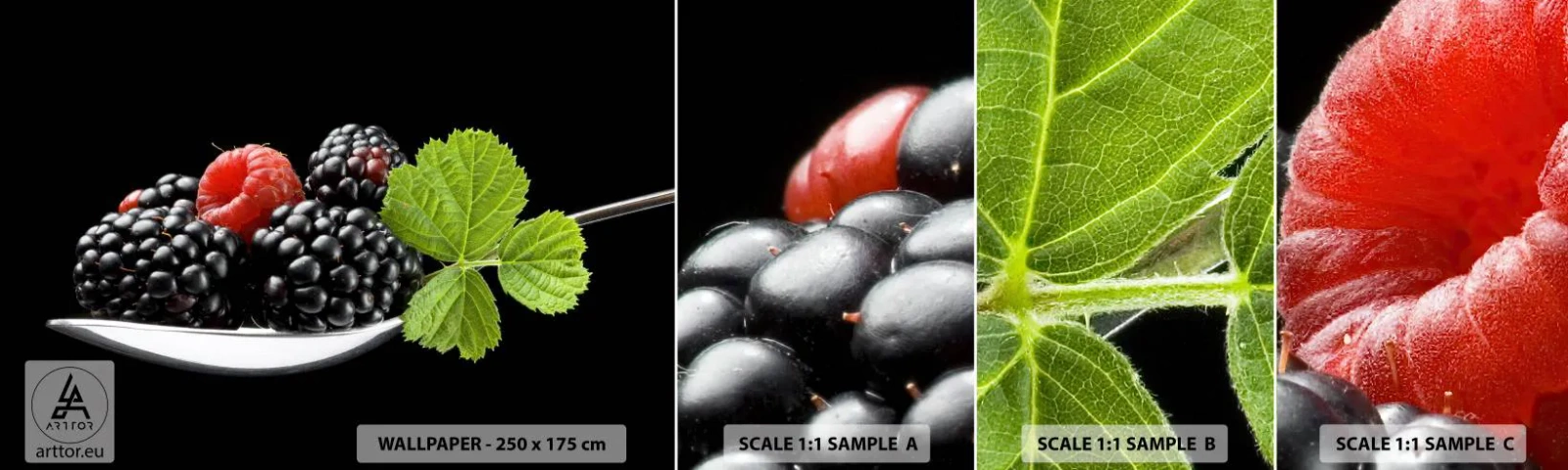 Échantillon De Papier Peint Standard Eco - Le goût de la fraîcheur - Fruit, Mûre, Framboise - 100x30 cm