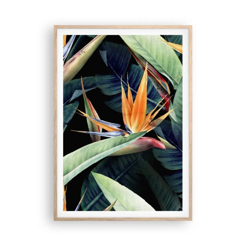 Affiche dans un chêne clair - Poster - Fleurs flamboyantes des tropiques - 70x100 cm