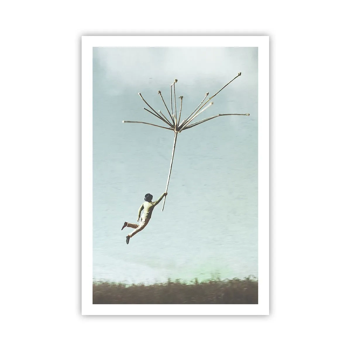 Affiche - Poster - Cerfs-volants, pissenlits, vent - 61x91 cm