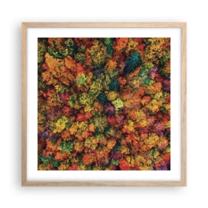 Affiche dans un chêne clair - Poster - Bouquet d'arbres automnal - 50x50 cm