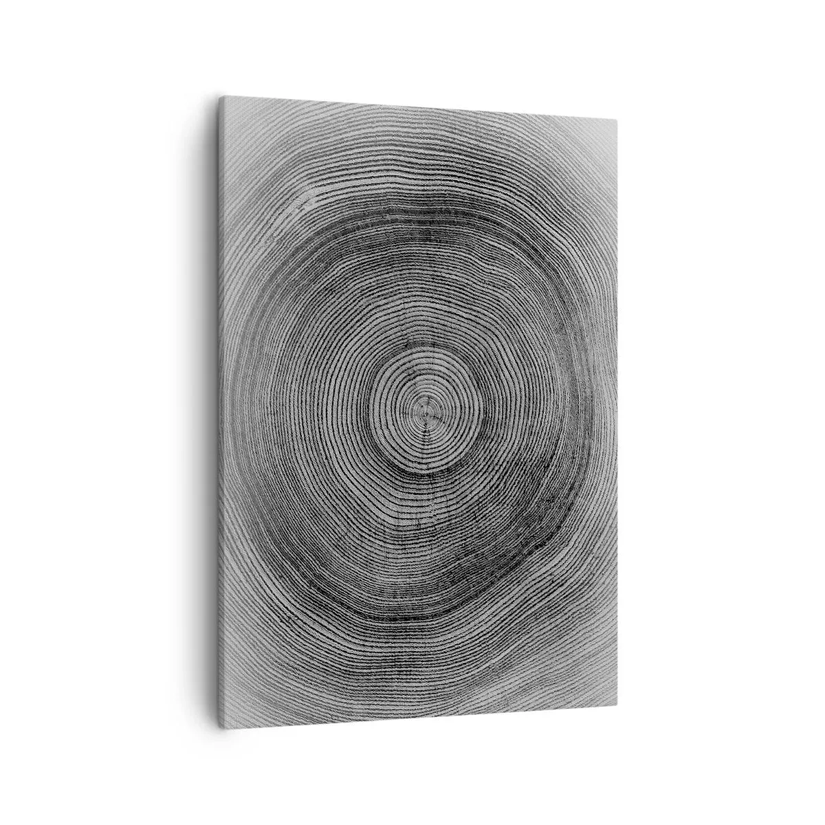 Impression sur toile - Image sur toile - Motif de cernes d'arbre noir et blanc montrant une coupe transversale du tronc - 50x70cm - Signe du temps - Décoration murale moderne pour le salon et la chambre ARTTOR