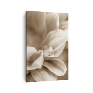 Impression sur toile - Image sur toile - Gros plan de fleurs dans un ton sépia délicat avec des contours doux - 80x120cm - Doux comme un sourire - Décoration murale moderne pour le salon et la chambre ARTTOR