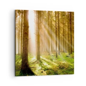 Impression sur toile - Image sur toile - Les elfes vont bientôt apparaître - 50x50 cm