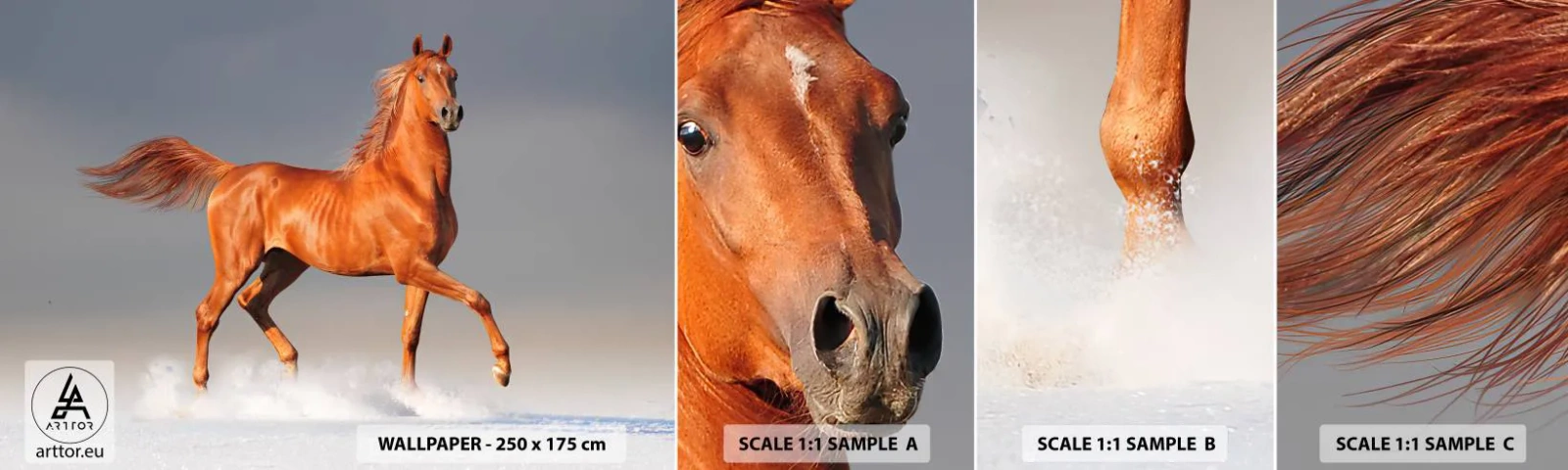 Échantillon De Papier Peint Standard Eco - La grâce dansante - Animaux, Cheval, Nature - 100x30 cm