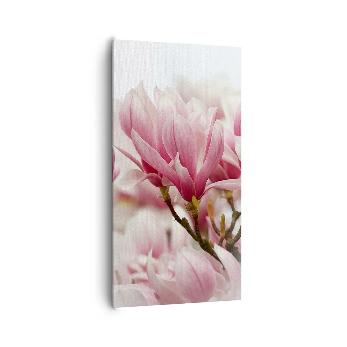 Impression sur toile - Image sur toile - Fleurs de printemps - 65x120 cm