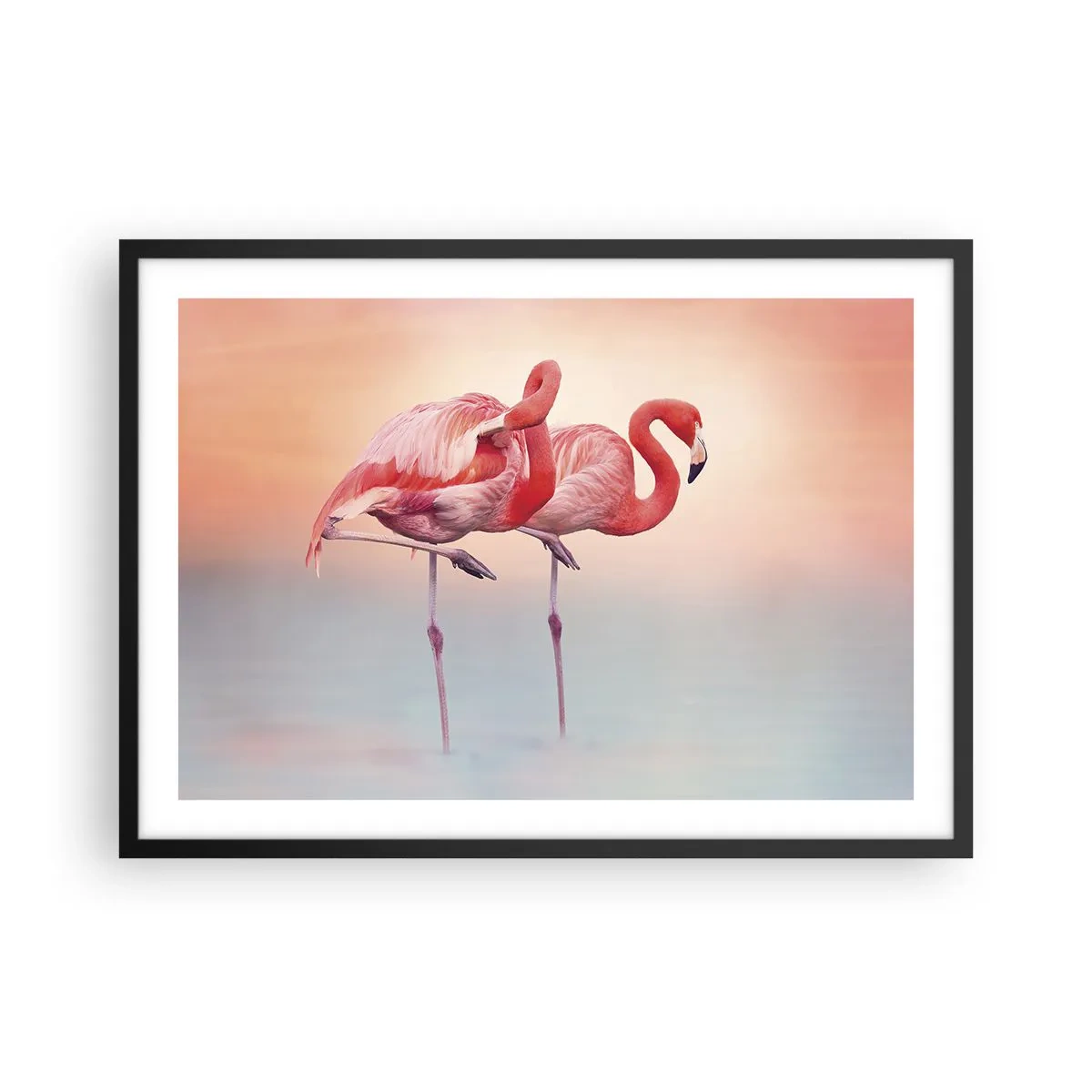 Affiche dans un cadre noir - Poster - Flamants roses aux couleurs pastel délicates sur fond d'eau - 70x50cm - Dans les couleurs du soleil couchant - Décoration murale moderne pour le salon et la chambre ARTTOR