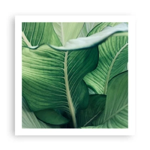 Affiche - Poster - Une vie intensément verte - 60x60 cm