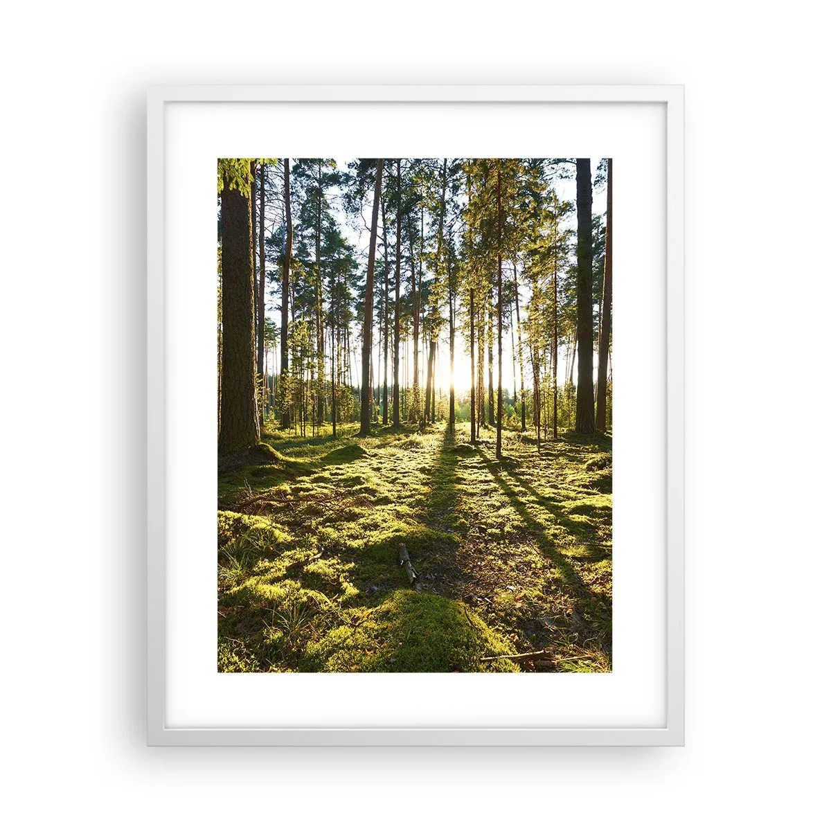 Affiche dans un cadre blanc - Poster - … Derrière les sept forêts - 40x50 cm