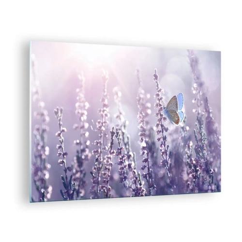 Impression sur verre - Image sur verre - Un papillon dans un champ de lavande au soleil - 70x50cm - Baiser de papillon - Décoration murale moderne pour le salon et la chambre ARTTOR