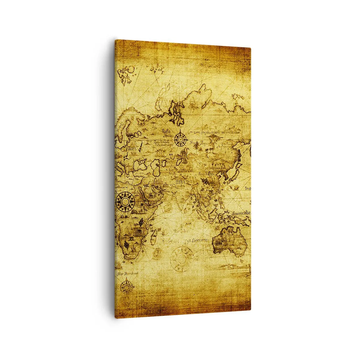 Impression sur toile - Image sur toile - Ce monde est bizarre - 55x100 cm