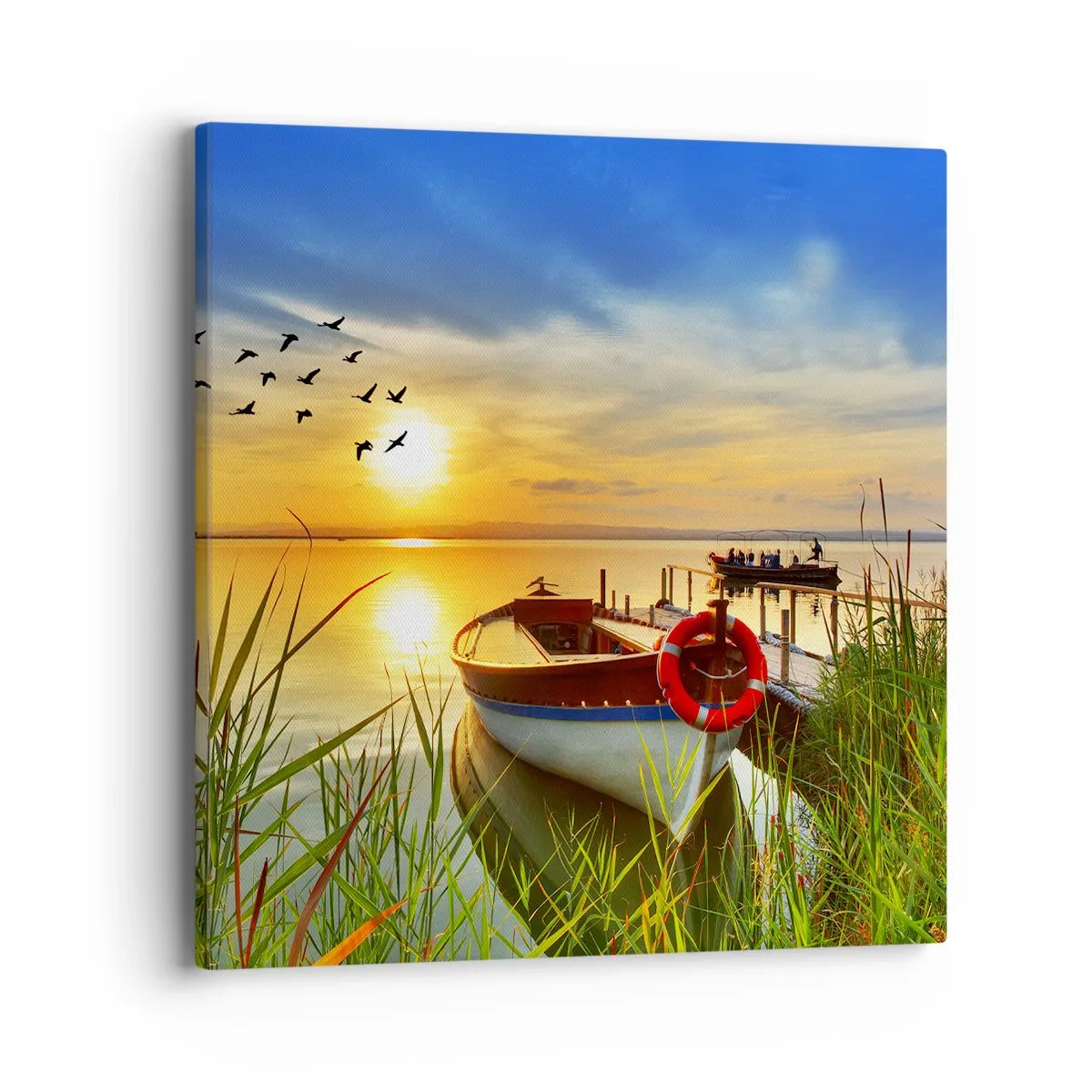 Impression sur toile - Image sur toile - Les cormorans s'envolent déjà - 40x40 cm