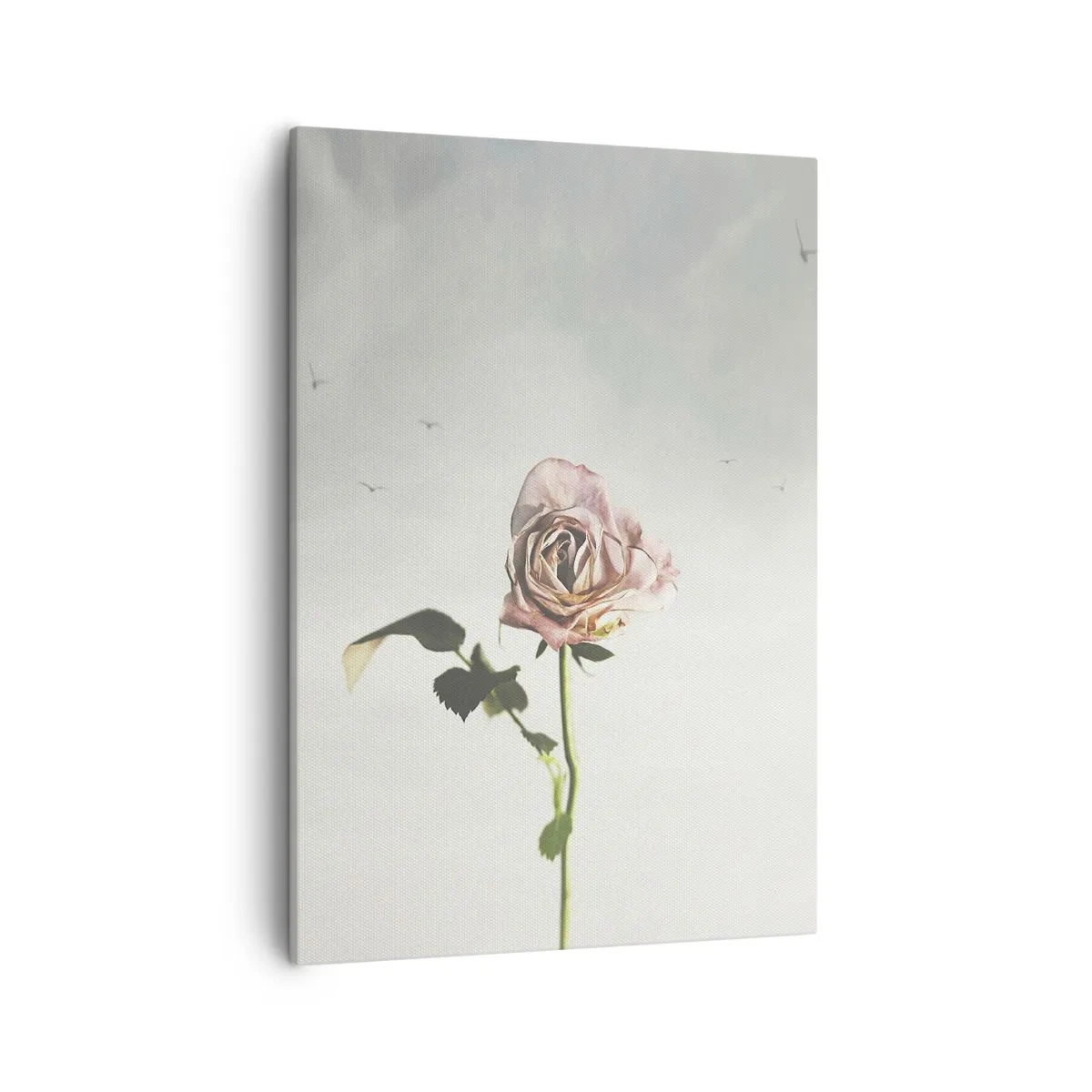 Impression sur toile - Image sur toile - Une rose délicate contre un ciel lumineux avec des oiseaux en vol - 50x70cm - Bonjour de printemps - Décoration murale moderne pour le salon et la chambre ARTTOR
