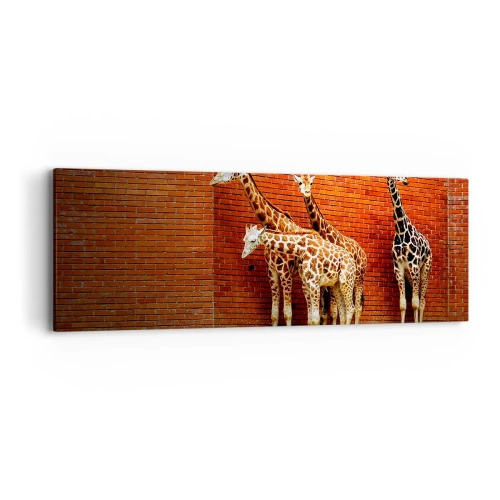 Impression sur toile - Image sur toile - Voyez-vous des acacias ? - 90x30 cm