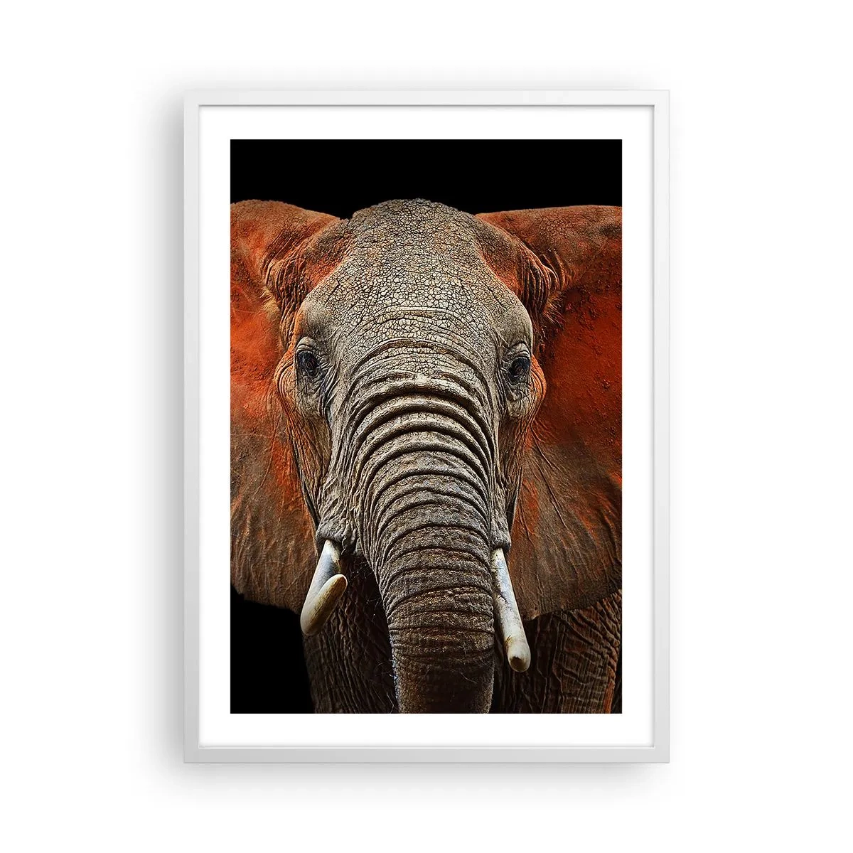 Affiche dans un cadre blanc - Poster - Je suis sauvage, et toi? - 50x70 cm