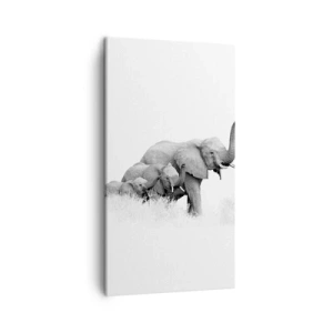 Impression sur toile - Image sur toile - Un, deux, trois - 45x80 cm