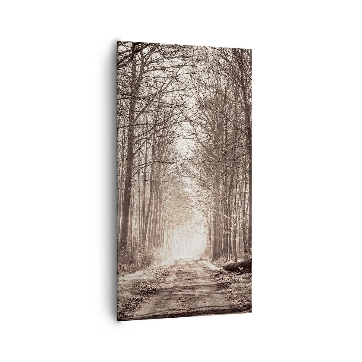 Impression sur toile - Image sur toile - Cathédrale de la forêt - 65x120 cm