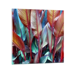 Impression sur verre - Image sur verre - Un fourré coloré - 70x70 cm